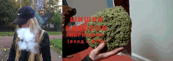 ешки Ельня