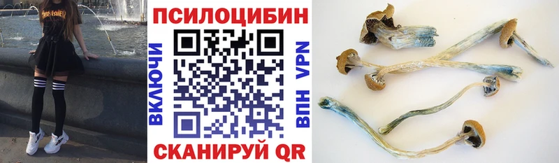 Псилоцибиновые грибы Magic Shrooms купить Каргополь